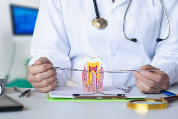 Best Emergency Dental Services for Seniors in Trevose, PA